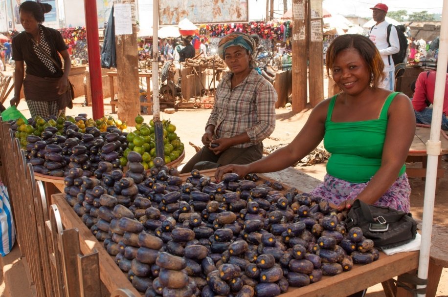 A Yaoundé, les premiers safous à prix d’or